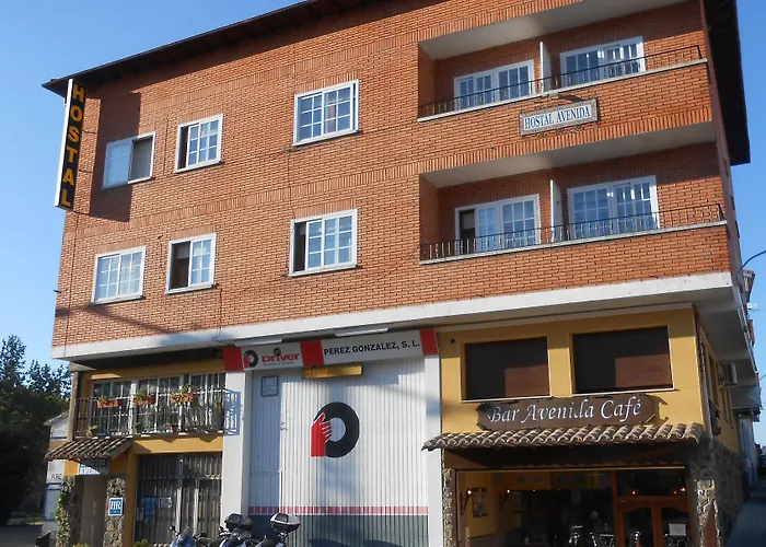 Avenida בית הארחה