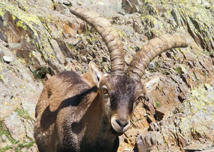 게스트하우스 Avenida 아레나스 데 산 페드로