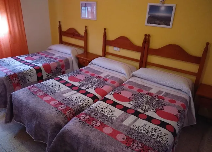 Avenida 게스트하우스