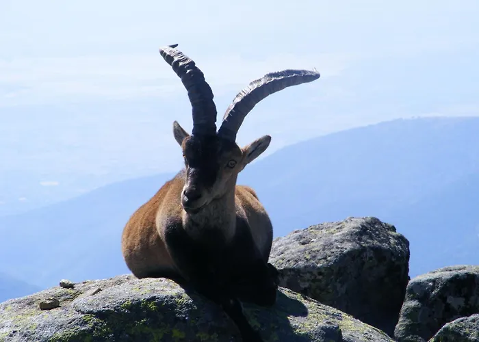 Avenida 게스트하우스 아레나스 데 산 페드로